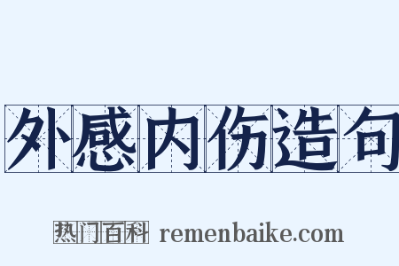 外感内伤造句是什么意思的图片